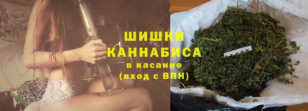 мдпв Богородск