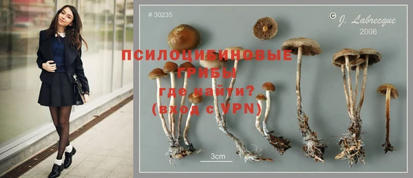 мдма Богданович