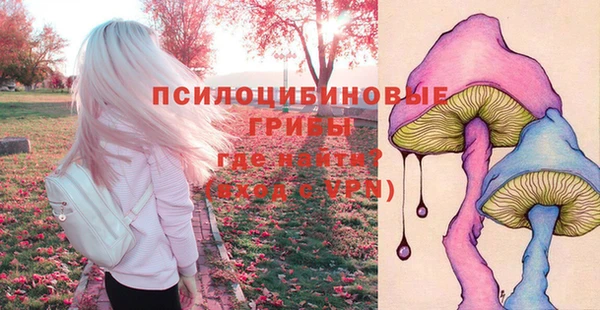 мдпв Богородск