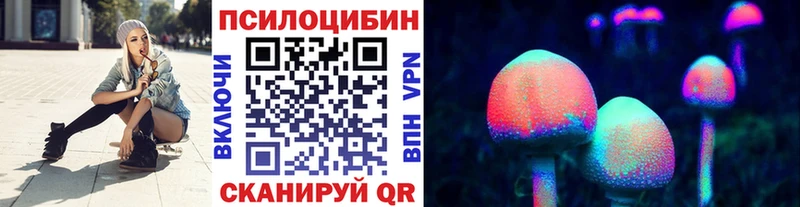 купить Кочубеевское MEGA ссылка Псилоцибиновые грибы MAGIC MUSHROOMS