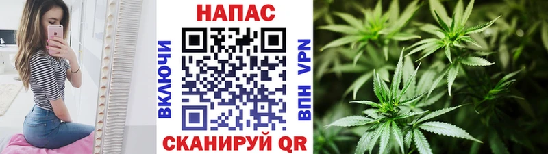 это состав  Кочубеевское  Конопля MAZAR  цены  